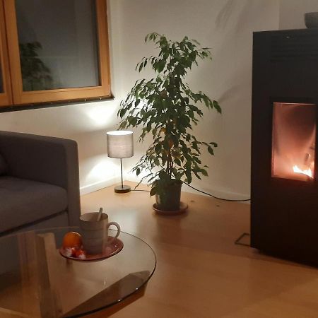 Apartament La Ticinella Losone Zewnętrze zdjęcie