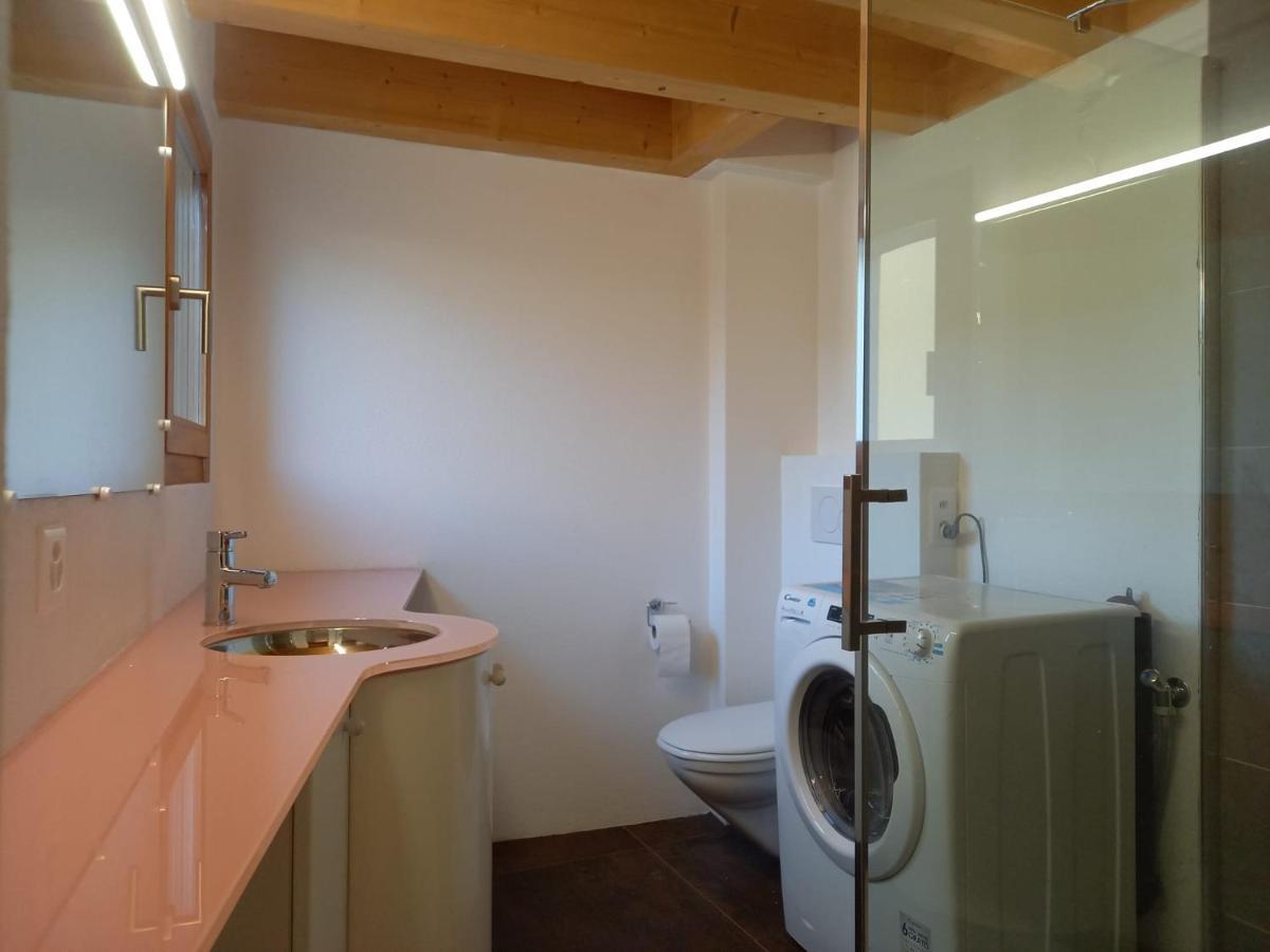 Apartament La Ticinella Losone Zewnętrze zdjęcie