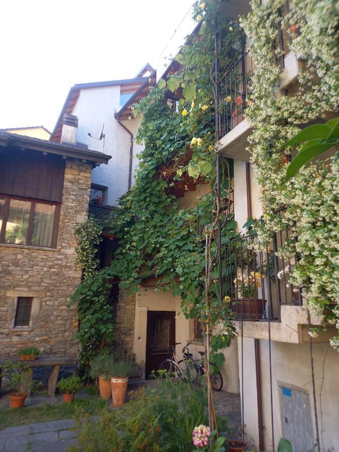 Apartament La Ticinella Losone Zewnętrze zdjęcie